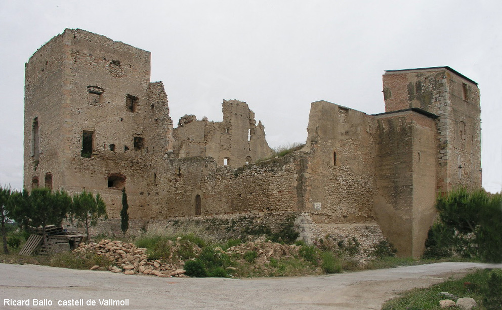 In Vallmoll stond ooit een mooi kasteel (Foto: Panoramio)