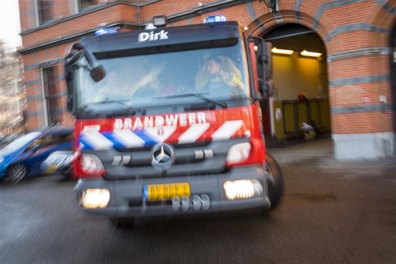 Vrouw en hond overleden na brand in Westerlee