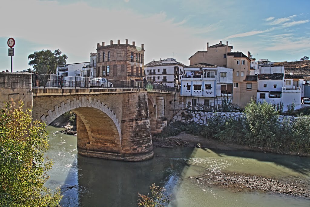 De brug over de Genil in Puente Genil (Foto: Panoramio)