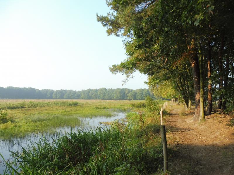 Foto gemaakt tijdens een wandeling in Oost-Brabant (Foto: qltel)