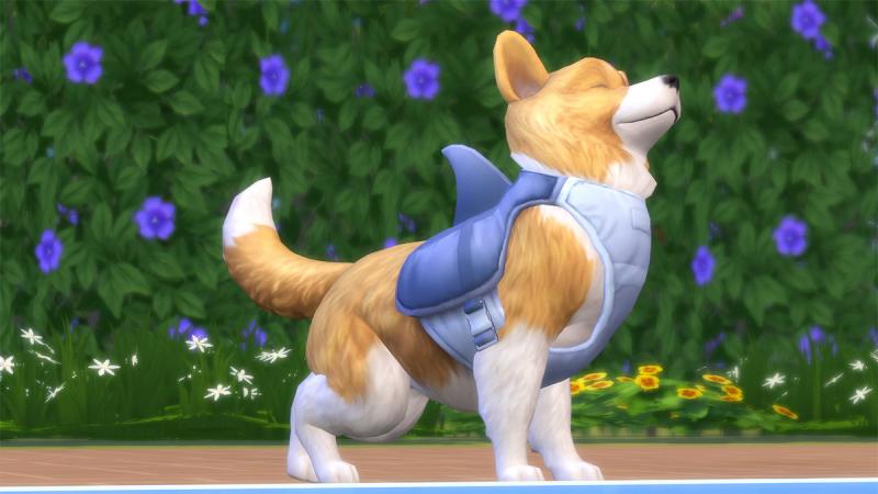 De Sims 4 - Honden en Katten- Trots (Foto: Electronic Arts)