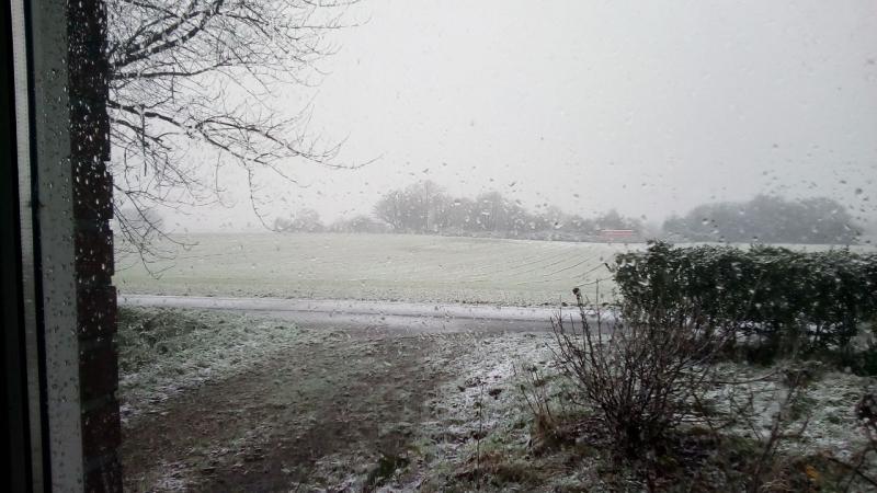 Sneeuw bij qltel (Foto: qltel)