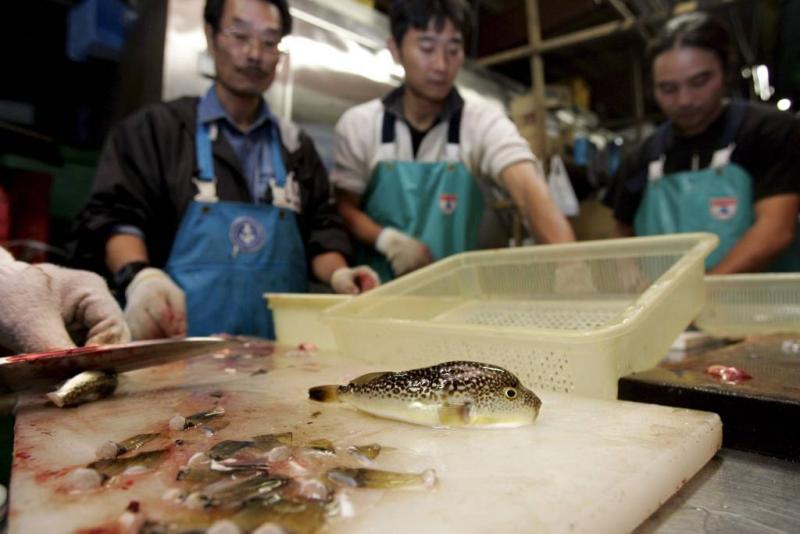 Giftige vis belandt in Japanse supermarkt