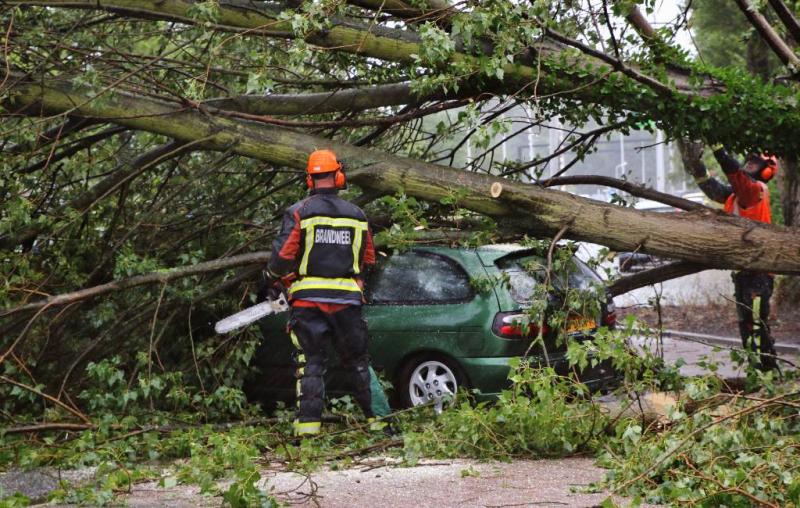 Vrouw dood door boom op auto in België