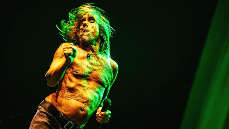 Iggy Pop (Foto: Bart Heemskerk)