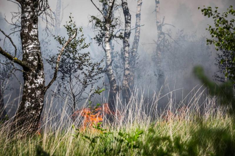 Andere aanduiding risico op natuurbranden