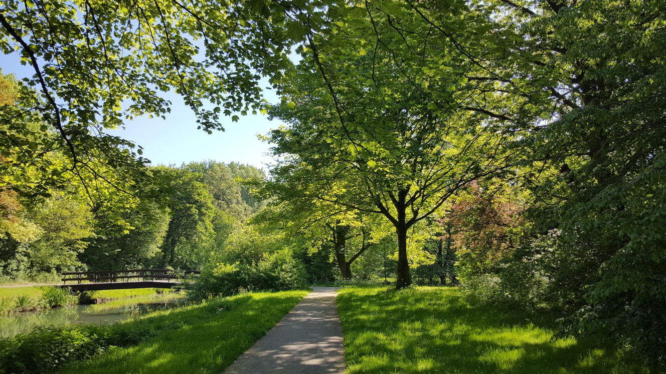 Een parkje in de buurt van Dordrecht (Foto: Iteejer)