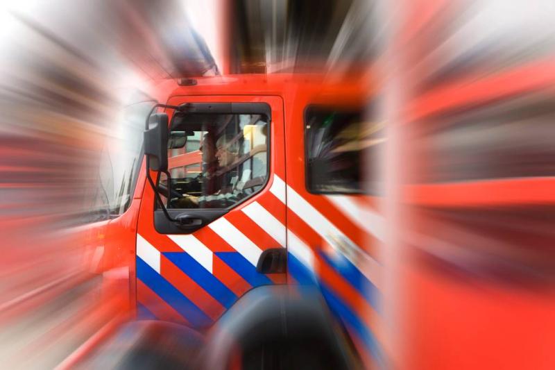 23.000 kippen overleven stalbrand Ospel niet