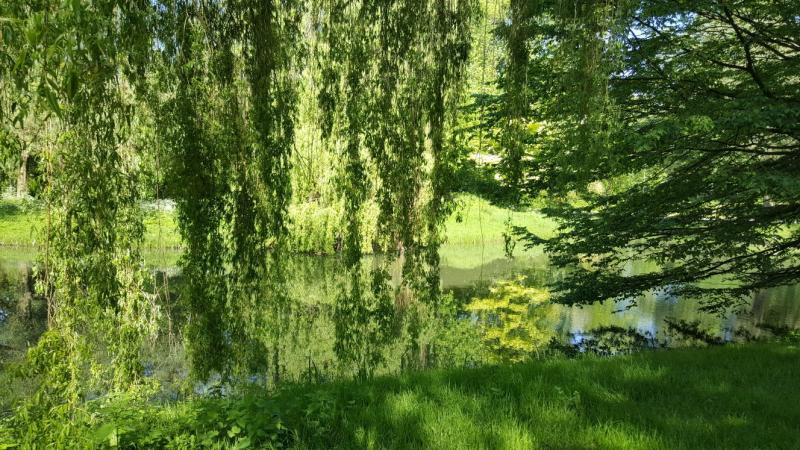 Mooie weerspiegeling (Foto: Iteejer)