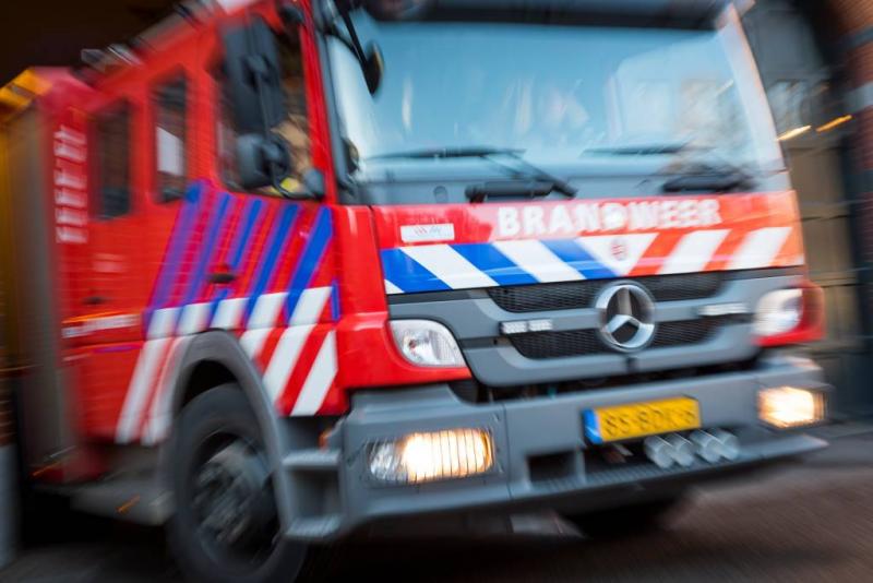 Brand kost 12.000 kippen het leven