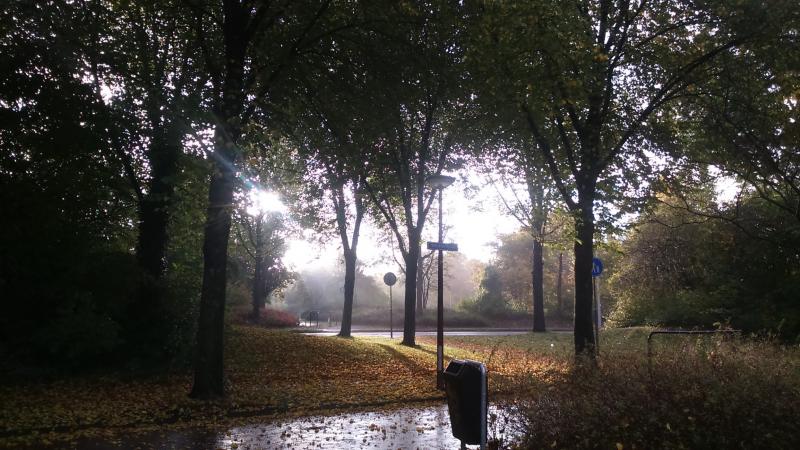 De herfst is begonnen!  (Foto: FOK!)