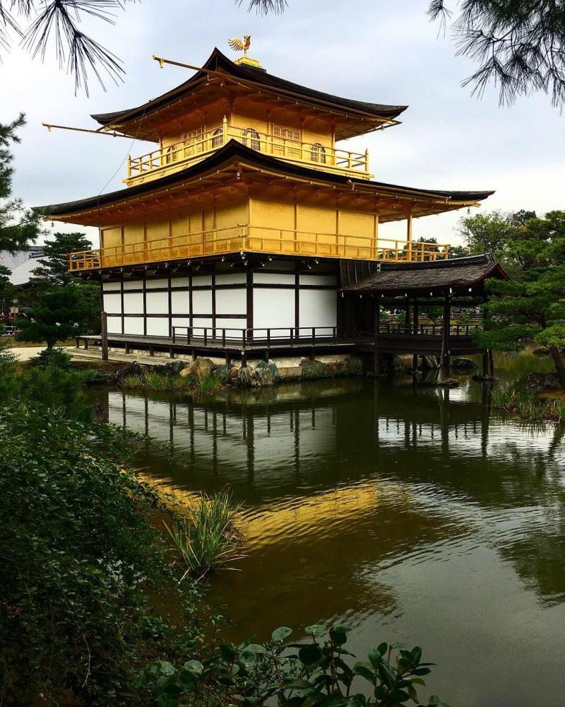 Hoe-die-nie en Semtex zijn in Kioto bij het Gouden paviljoen. Het is er 22 graden! Hoe-die-nie en Semtex zijn in Kioto bij het Gouden paviljoen. Het is er 22 graden!