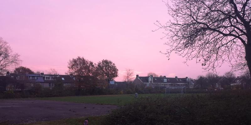 Roze lucht (Foto: DJMO)