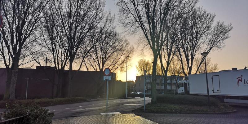 De zon tussen de bomen. (Foto: DJMO)