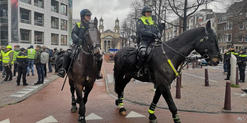 Gele Hesjes (Foto: FOK!)