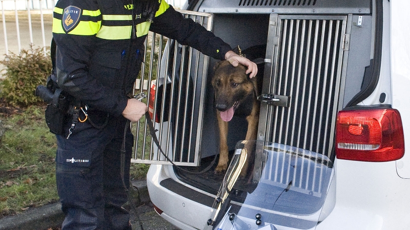 Politiehond grijpt vluchtende autokraker (Foto: Stockfoto politie.nl) Politiehond grijpt vluchtende autokraker (Foto: Stockfoto politie.nl)