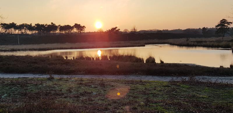 wandeling nabij Nijmegen (Foto: StateOfMind)