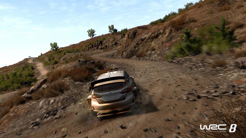 WRC 8 (Foto: Bigben Interactive)