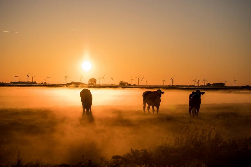 Mistige zonsopkomst (Foto: Klapmongeaul)