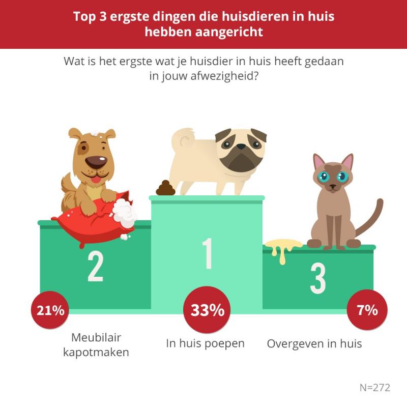 De top 3 van huisdier-ergernissen