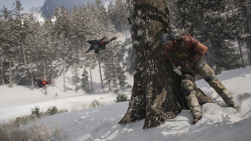 Ghost Recon: Breakpoint - Snow (Foto: Ubisoft)