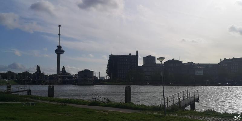 De skyline van Rotterdam  (Foto: FOK! )