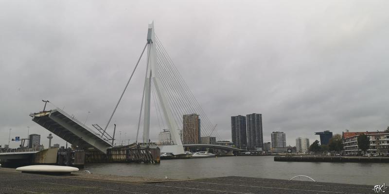 Het was grijs in Rotterdam vandaag  (Foto: FOK!)