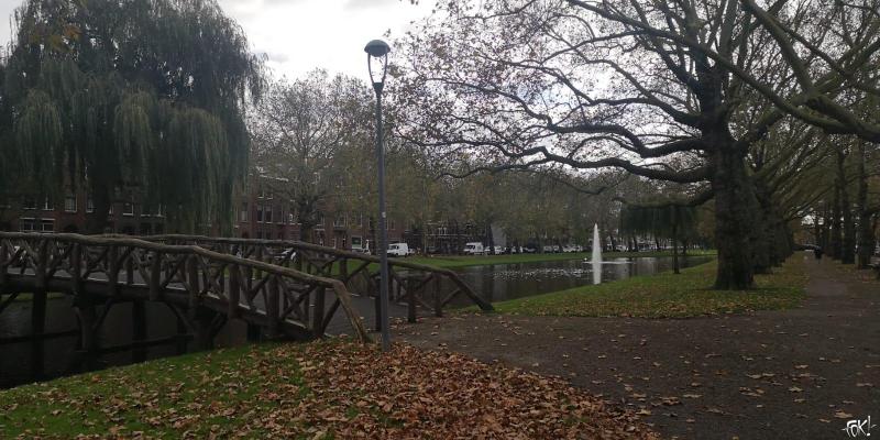 Herfst in het park (Foto: FOK!)