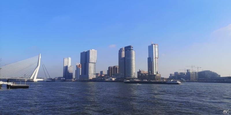 Skyline Rotterdam (Foto: FOK!)