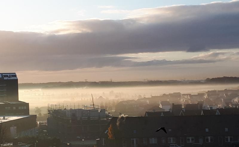 mooie mistfoto van maandagmorgen; op de achtergrond de bossen van Woensdrecht. (Foto: Maily)