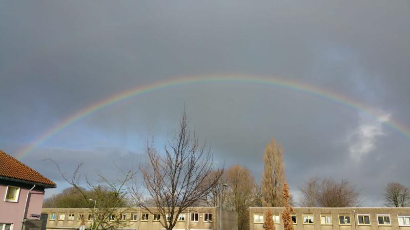 Regenboog in Amsterdam (Foto: Interpretatie)