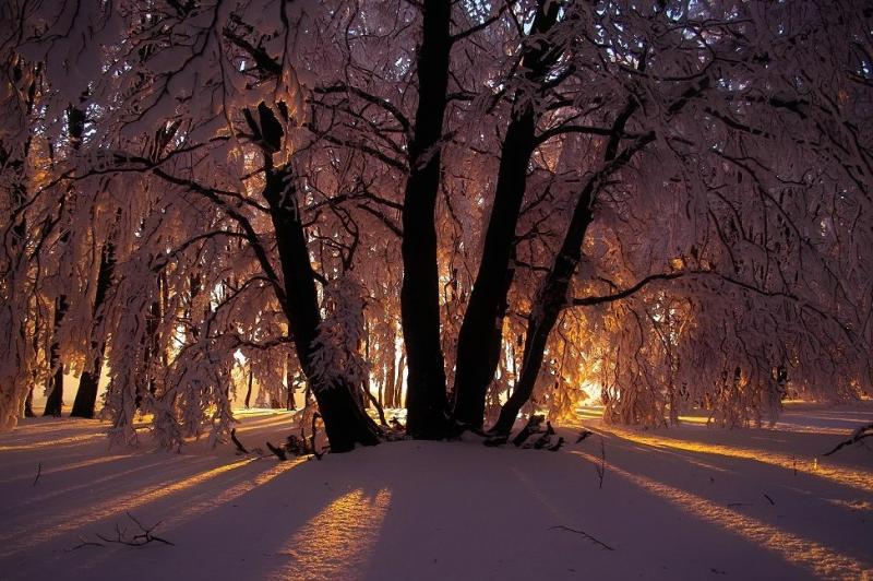 Sneeuwfoto van Scherpschutter. Alweer even geleden. Dit zit er voorlopig niet in. 