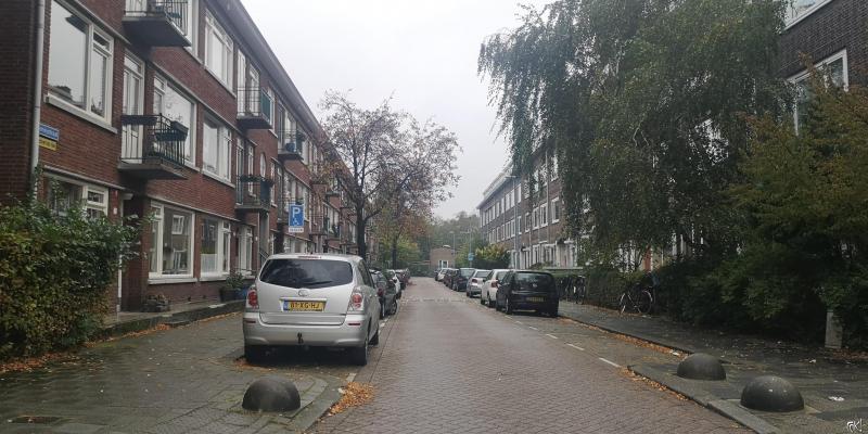 Geparkeerde personenauto's  (Foto: FOK!)