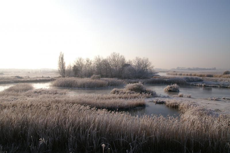 Deze foto is gemaakt bij Bommenede, een voormalig eiland in Zeeland, nu onderdeel van Schouwen Duiveland (Foto: Scherpschutter)