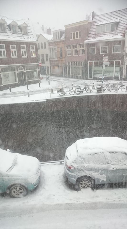 Sneeuw 2017 (Foto: Stephan5)