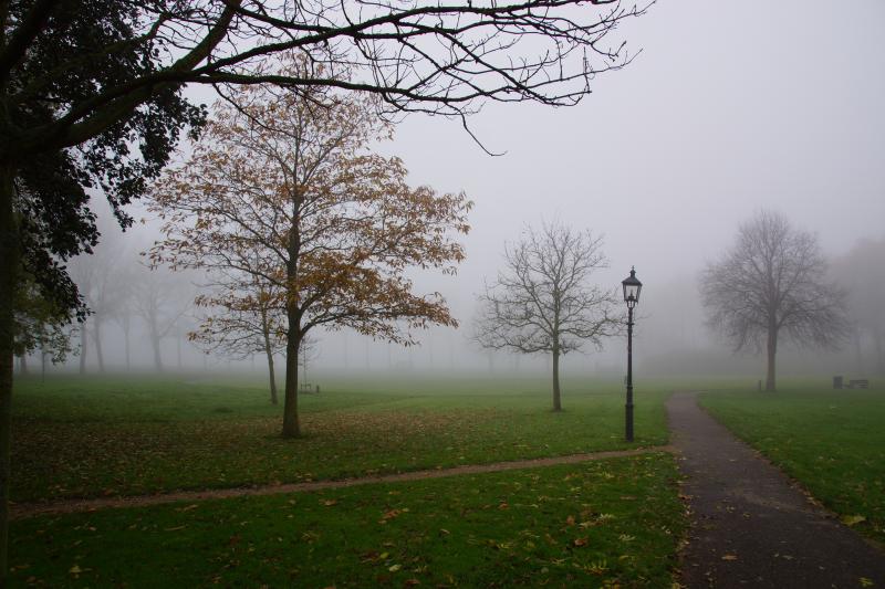 Mist in Zeeland (Foto: Scherpschutter)