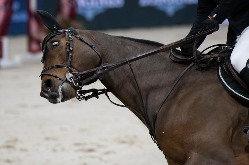 Springen, paard wordt hardhandig aan het bit getrokken, oog draait weg van de pijn (Foto: Dier&Recht)