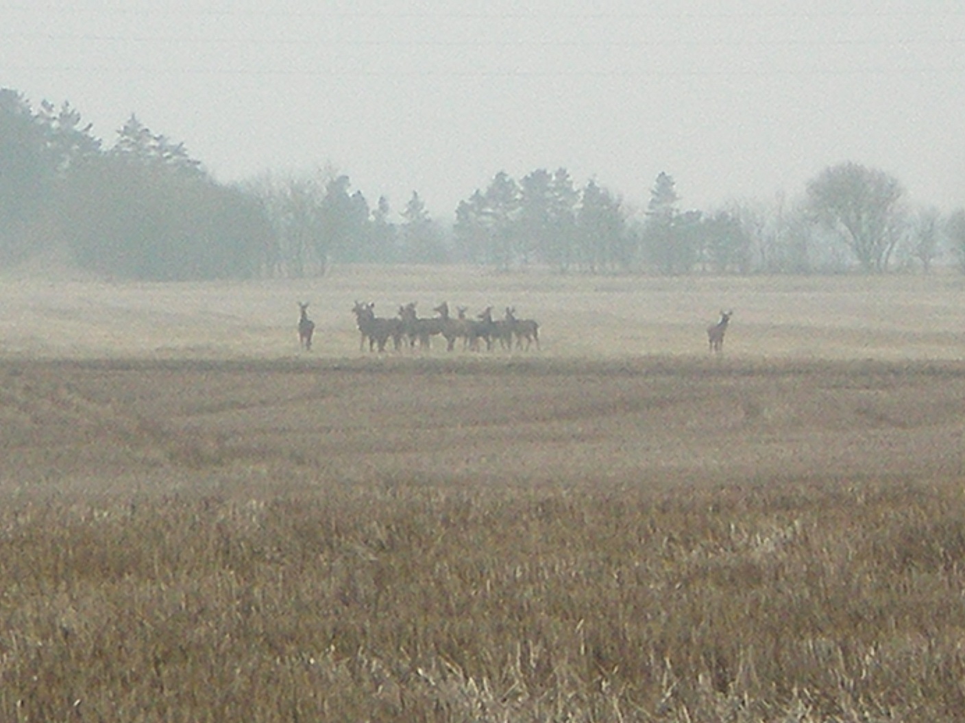 200209_41809_592.JPG