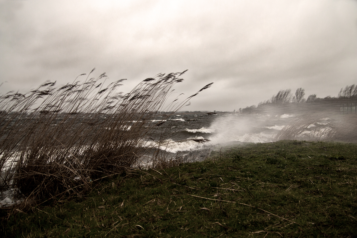200223_140043_storm-3325s.jpg