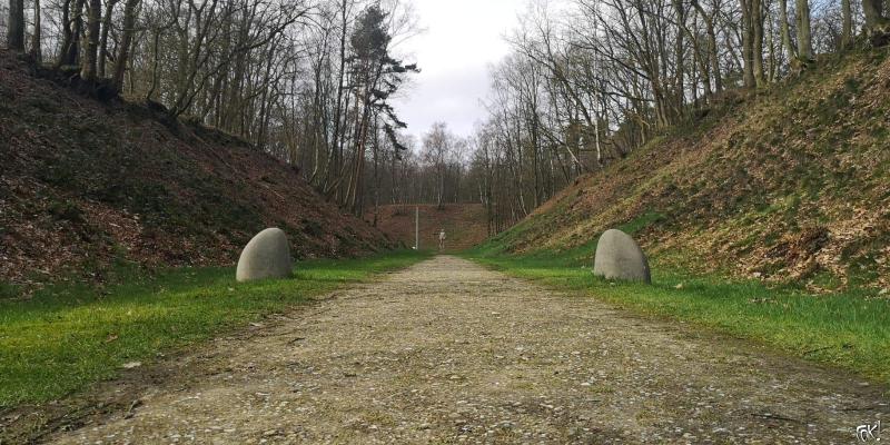 Westerborkpad - etappe 9 (5)  (Foto: FOK!)