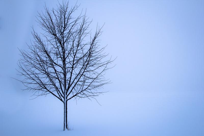 Afgelopen nacht kouder dan in hele winter (Stockfoto: Pixabay)