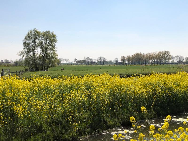 In de buurt van Dodewaard met 23 graden op de boordcomputer van de auto (Foto: Cha)