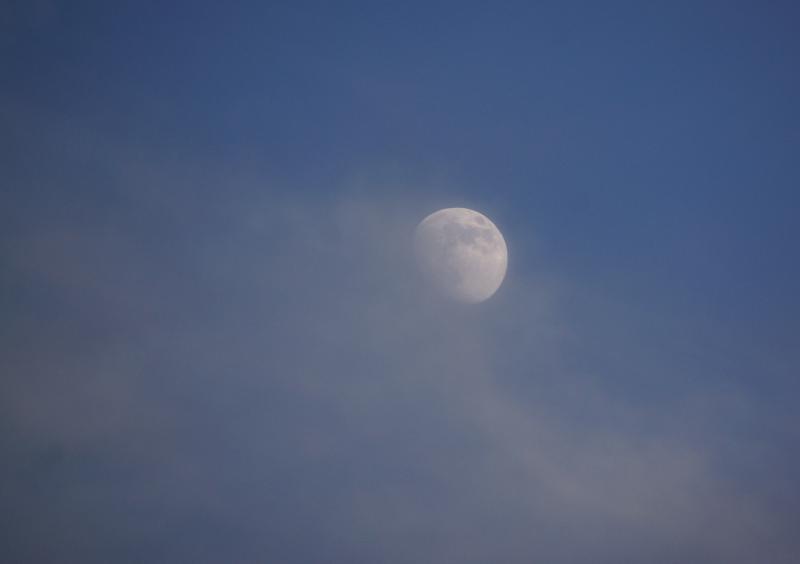 Dinsdagmiddag overdag met blauwe lucht en hoge bewolking, de maan in zicht.  (Foto: Scherpschutter)