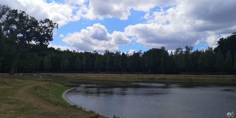 Baarnse Bossen (Foto: FOK!)