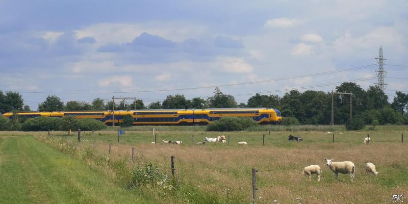 Een trein (Foto: FOK!)