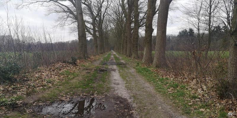 Westerborkpad - Etappe 16 (2)  (Foto: FOK!)