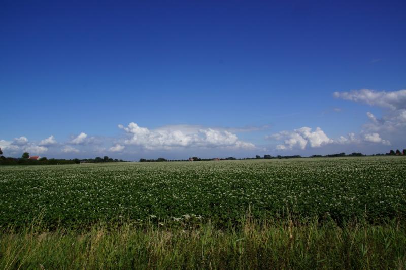 Zon en stapelwolkjes (Foto: Scherpschutter)