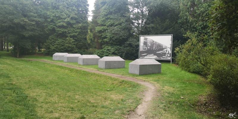 Dodenherdenking 4 mei 2021 - Terugblik op het Westerborkpad  (Foto: FOK!)