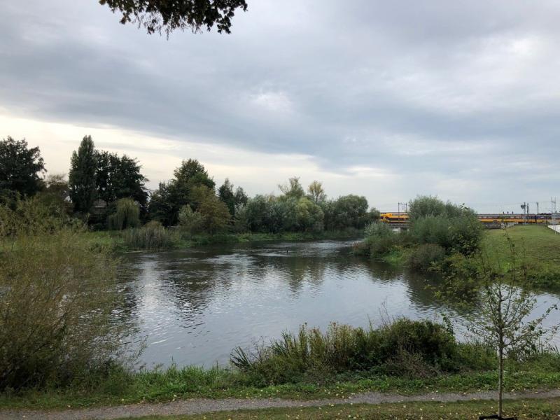 Den Bosch aan het water