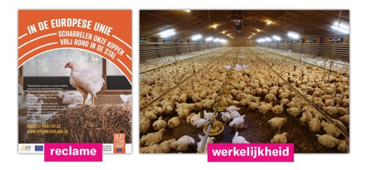 Links de advertentie zoals die in Privé verscheen, rechts de werkelijkheid (Foto: Wakker Dier)